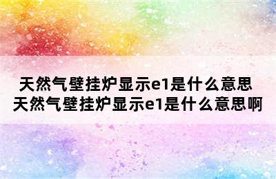 天然气壁挂炉显示e1是什么意思 天然气壁挂炉显示e1是什么意思啊